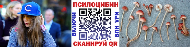 Псилоцибиновые грибы мицелий Кирово-Чепецк